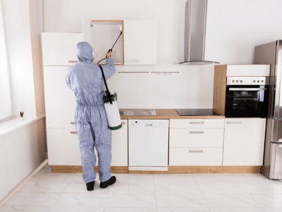 About Kick Fiber Clean - pest control experts in Surry Hills